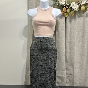 Express Pencil Skirt